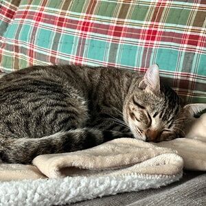 Meet your Posher, Lindsay